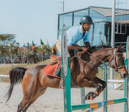 Cidade recebe a principal exposição esportiva do cavalo árabe do Brasil