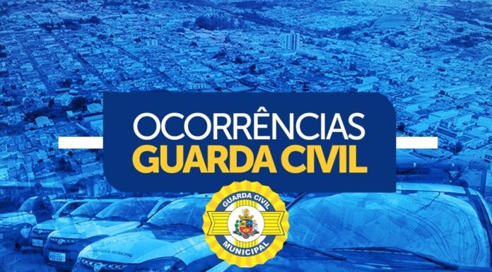 GCM de Tatuí apreende mais 300 porções de maconha