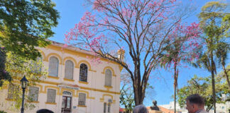 Divulgados avanços na preservação do Museu Histórico “Paulo Setúbal”