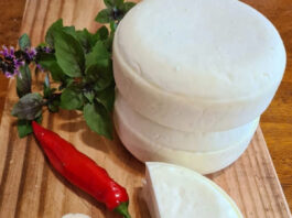 Tatuí integra rotas do queijo paulista junto a programa estadual