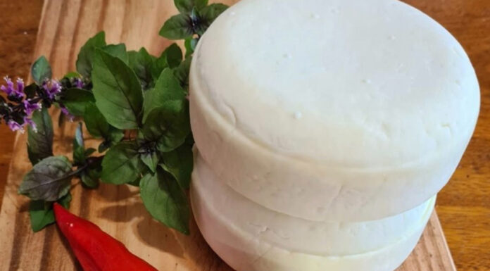 Tatuí integra rotas do queijo paulista junto a programa estadual