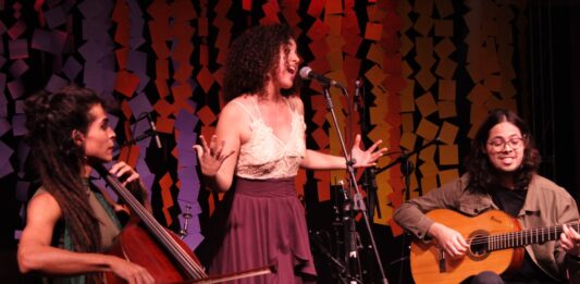 CEU das Artes de Tatuí recebe trio de voz, violoncelo e violão