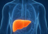 Gordura no fígado: a nova epidemia silenciosa que ameaça milhões de brasileiros e pode evoluir para cirrose e câncer, alerta especialista