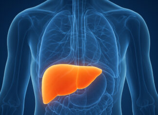 Gordura no fígado: a nova epidemia silenciosa que ameaça milhões de brasileiros e pode evoluir para cirrose e câncer, alerta especialista