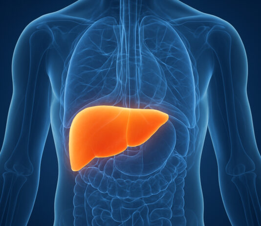 Gordura no fígado: a nova epidemia silenciosa que ameaça milhões de brasileiros e pode evoluir para cirrose e câncer, alerta especialista