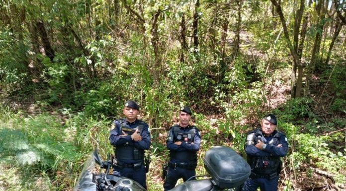 Moto furtada é localizada pela GCM de Tatuí em área verde do Jardim Paulista