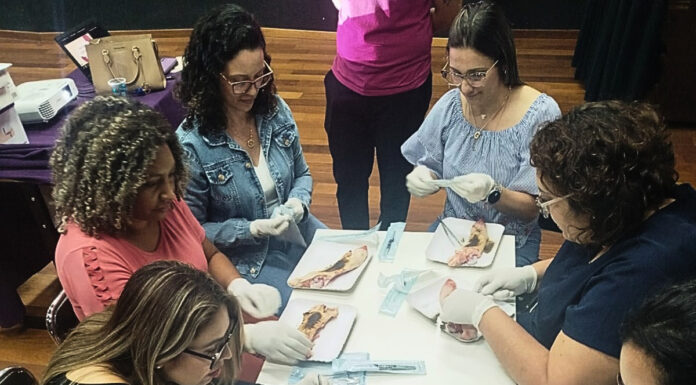 Tratamento de feridas é tema de curso oferecido a profissionais de saúde Tatuí
