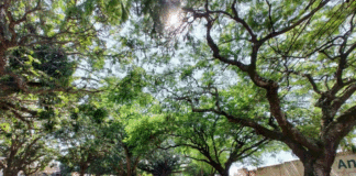 Programa Município VerdeAzul destaca a “eficiência” de Tatuí