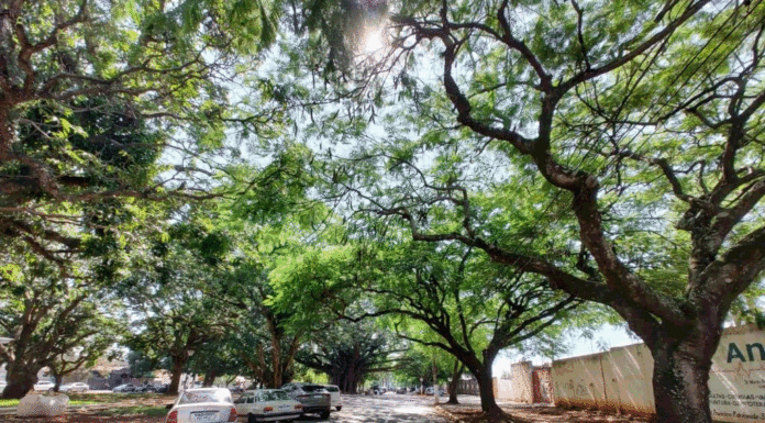 Programa Município VerdeAzul destaca a “eficiência” de Tatuí