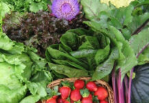 Sindicato Rural de Tatuí e Senar Inscrevem a cursos gratuitos de produção orgânica