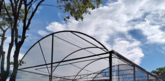 Viveiro Municipal de Tatuí tem serviços em novo local