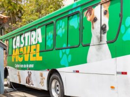 Mutirão de castração em Tatuí inscreve para procedimentos gratuitos