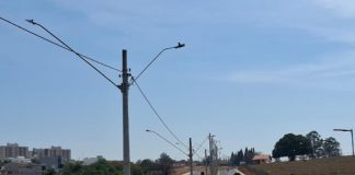 Prefeitura mostra balanço da pasta de Planejamento e Gestão Pública de Tatuí