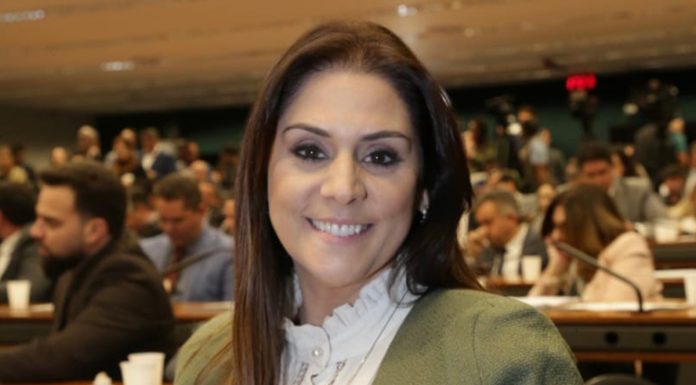 Simone Marquetto é cotada como vice em eleição presidencial