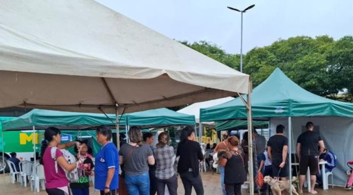 Mutirão de castração em Tatuí realiza mais de 2.000 procedimentos gratuitos