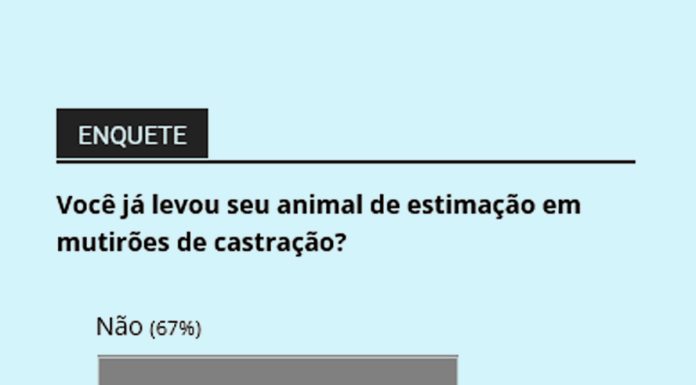 33% declaram ter levado animais em mutirões para castração em Tatuí