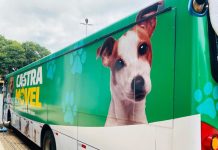 Governo federal realiza mutirão de castração gratuita em Tatuí