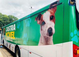 Governo federal realiza mutirão de castração gratuita em Tatuí