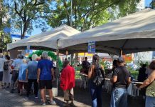 Dia D da campanha de vacinação em Tatuí contra influenza soma 500 doses