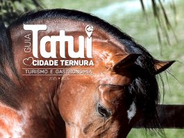 Autoridades municipais reconhecem relevância do Guia ‘Cidade Ternura’