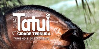 Autoridades municipais reconhecem relevância do Guia ‘Cidade Ternura’