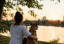 Cães e gatos ajudam a combater ansiedade, depressão e solidão e reforçam a importância da adoção responsável