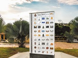 Guia “Cidade Ternura” chega a assinantes