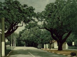 Exposições sobre a história de Tatuí integram 20ª Primavera dos Museus