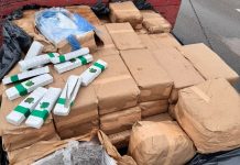 Caminhão flagrado em tráfico de drogas com ‘tijolos skunk’