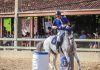 Centro Hípico de Tatuí recebe a Taça São Paulo Sasa Horses de Equitação de Trabalho