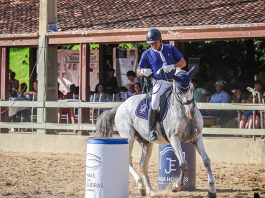 Centro Hípico de Tatuí recebe a Taça São Paulo Sasa Horses de Equitação de Trabalho