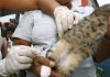 Departamento de Zoonoses de Tatuí é transferido para a vila Dr. Laurindo