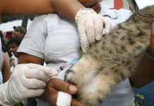 Departamento de Zoonoses de Tatuí é transferido para a vila Dr. Laurindo