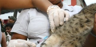 Departamento de Zoonoses de Tatuí é transferido para a vila Dr. Laurindo