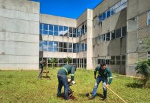 Plantio de 24 mudas amplia arborização no entorno do fórum de Tatuí