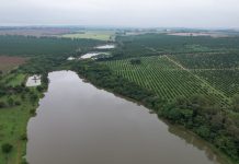 Defesa Civil e Meio Ambiente mantêm monitoramento do Rio das Pedras em Tatuí